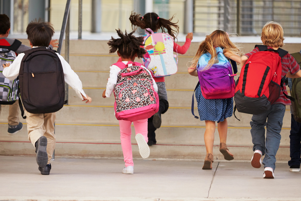 Mochila Infantil Confortável Para a Volta às Aulas 3 Mochila Infantil 2